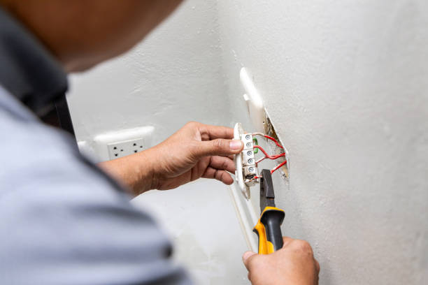 Best Electrical Wiring Services  in Schleswig, IA