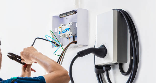 Best Electric Panel Repair  in Schleswig, IA