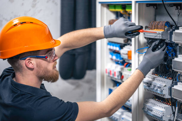 Best Electrical System Inspection  in Schleswig, IA